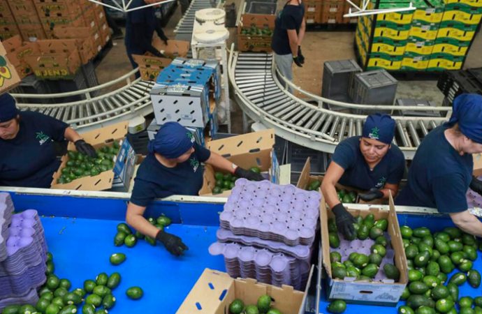 Comerciantes sonorenses muestran preocupación por arancel a productos mexicanos