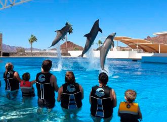 Delfinario de Guaymas se convertirá en acuario, anuncia senador Aguilar