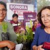 Gobernador Durazo acerca trámites y servicios gratuitos de la feria “Sonora Atiende” a familias de la colonia Solidaridad