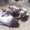 Hallan los cuerpos de tres niñas en carretera de Miguel Alemán; FGJES inicia investigación