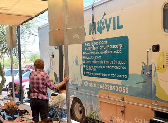 Registra administración de Toño Astiazarán casi 10 mil esterilizaciones de animales en la primera mitad del año