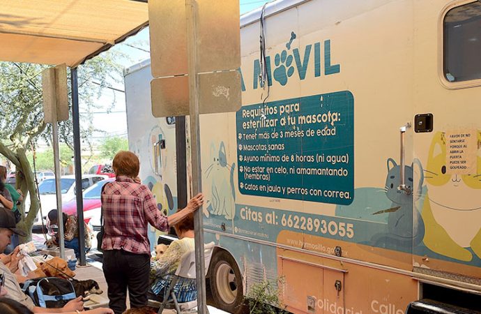 Registra administración de Toño Astiazarán casi 10 mil esterilizaciones de animales en la primera mitad del año