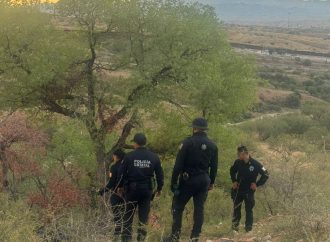 Desmantelan red de halconeo utilizada por el crimen en Nogales