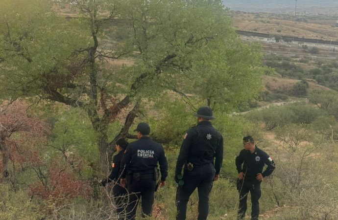 Desmantelan red de halconeo utilizada por el crimen en Nogales