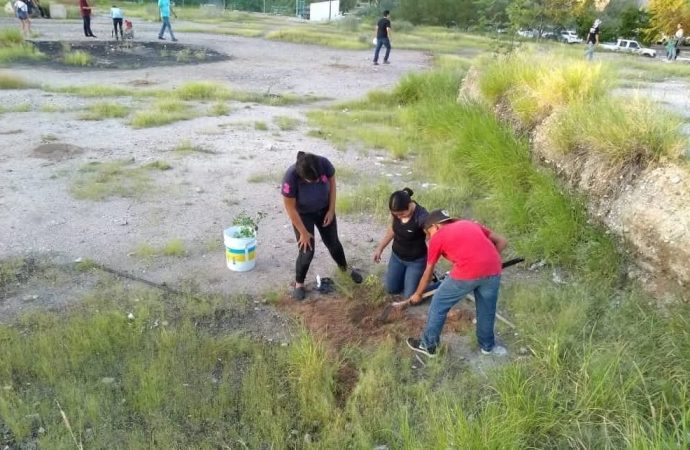 Proponen rescatar el antiguo parque Villa de Seris para andador verde