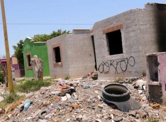 Ayuntamiento gasta 28 MDP al año en limpiar basura de cajemenses cochinos