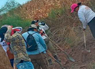 Buscadoras podrían retomar actividades de búsqueda la próxima semana
