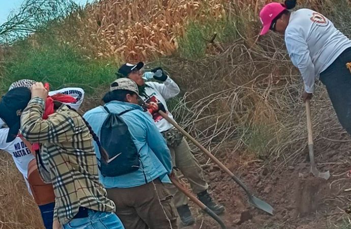 Buscadoras podrían retomar actividades de búsqueda la próxima semana