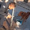 Atienden caso de maltrato animal en Hermosillo