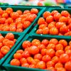 Precio del tomate en Sonora se mantiene estable; esperan negociaciones