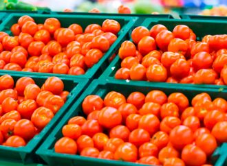 Precio del tomate en Sonora se mantiene estable; esperan negociaciones