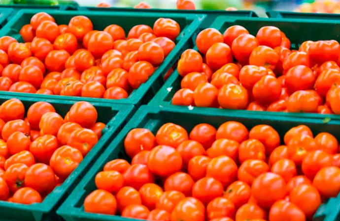 Precio del tomate en Sonora se mantiene estable; esperan negociaciones