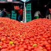 Pega a tomateros embestida arancelaria del 17 %