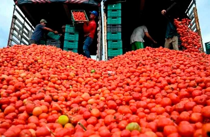 Pega a tomateros embestida arancelaria del 17 %