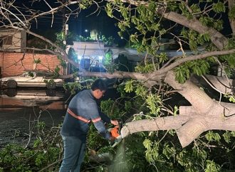 Protección Civil atendió 55 reportes por lluvias y vientos fuertes en Hermosillo