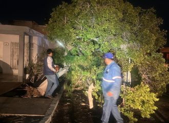 Las lluvias y vientos dejan daños que ya atiende el municipio en Hermosillo
