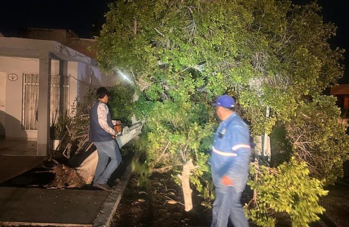 Las lluvias y vientos dejan daños que ya atiende el municipio en Hermosillo