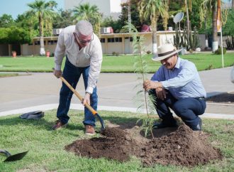 ITSON celebra 70 años con campaña de reforestación en sus campus