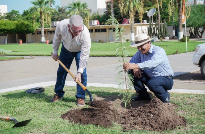 ITSON celebra 70 años con campaña de reforestación en sus campus