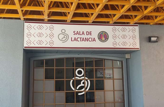 Declaran más zonas y espacios públicos como áreas de lactancia