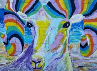 Plasmarán cultura Seri en mural en Hermosillo