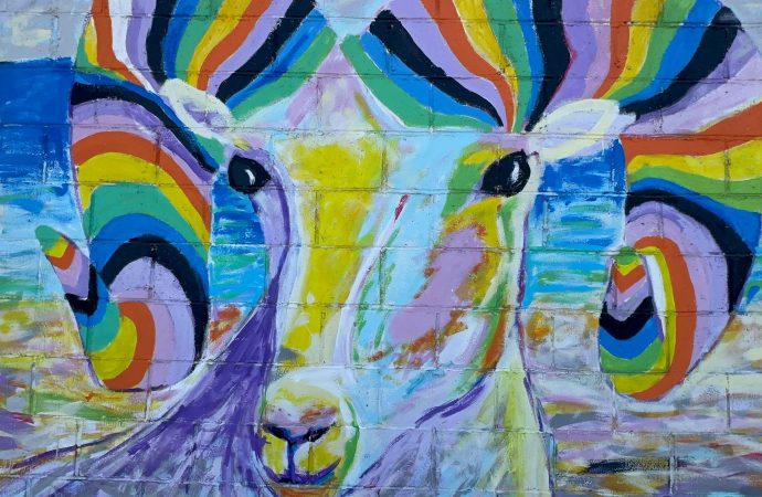 Plasmarán cultura Seri en mural en Hermosillo