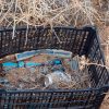 Destruyen misiles artesanales en Sonora