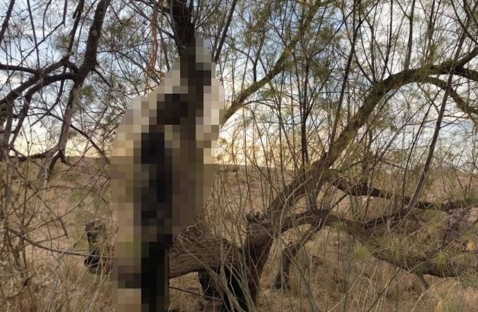 Investigan posible suicidio en Empalme