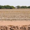 Piden que sur de Sonora se declare zona de desastre natural
