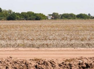 Piden que sur de Sonora se declare zona de desastre natural