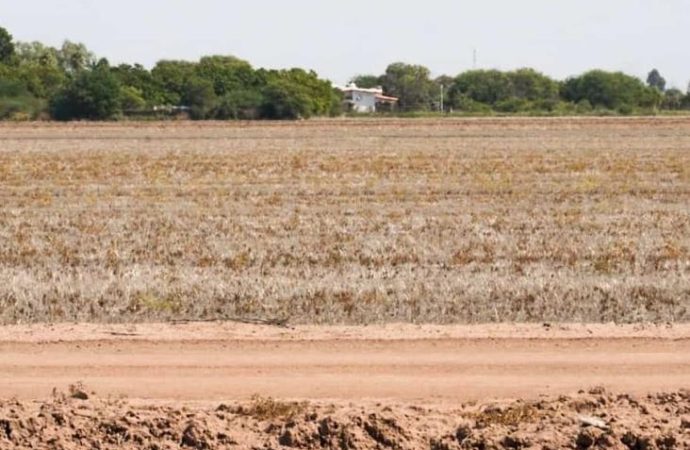 Piden que sur de Sonora se declare zona de desastre natural