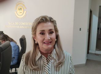 Se construirá en Hermosillo vivienda social pese a protestas: Elia Sallard