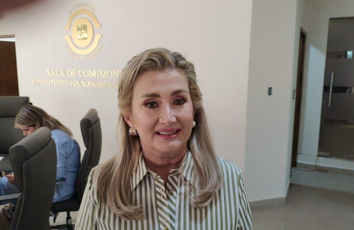 Se construirá en Hermosillo vivienda social pese a protestas: Elia Sallard