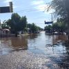 Caen árboles y se generan encharcamientos por lluvia en Cajeme