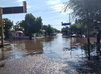 Caen árboles y se generan encharcamientos por lluvia en Cajeme