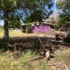 Realizan escuelas acciones de limpieza