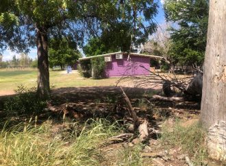 Realizan escuelas acciones de limpieza