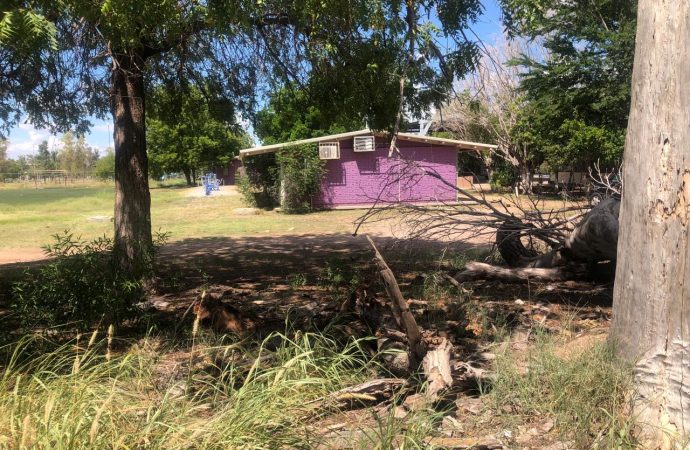 Realizan escuelas acciones de limpieza