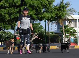 Cuarta edición de “Domingueando en Bici y +” convoca a familias de Cajeme en una jornada activa y saludable