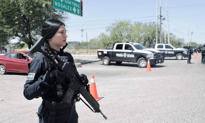 Casi 500 detenidos y 31 células delictivas desarticuladas en julio