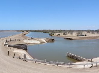 COSAES emite sus recomendaciones ante paso de Lorena