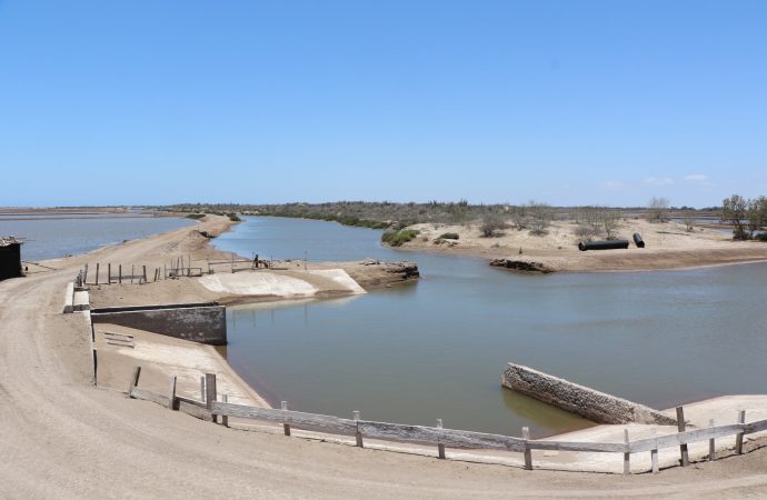 COSAES emite sus recomendaciones ante paso de Lorena