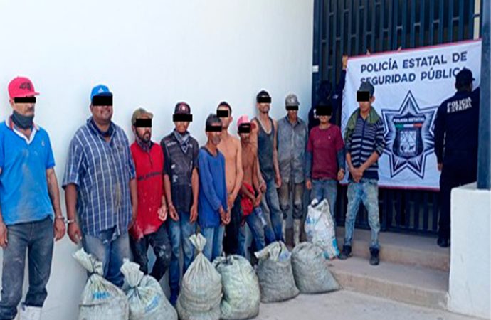 Vinculan a proceso a once personas por robo de camarón en granja acuícola de Hermosillo