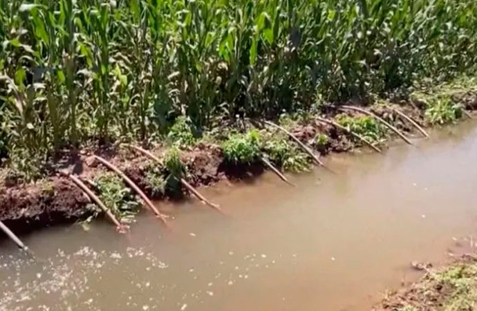 Localizan a hombre sin vida en laguna de aguas negras dentro de campo agrícola en Hermosillo