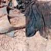 Localizan dos cuerpos en búsqueda de Madres Buscadoras en Hermosillo
