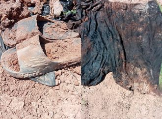Localizan dos cuerpos en búsqueda de Madres Buscadoras en Hermosillo