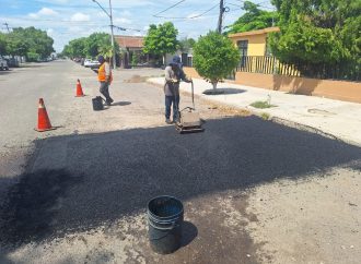 Trabaja cuadrilla antibaches en colonias de Hermosillo tras recientes lluvias
