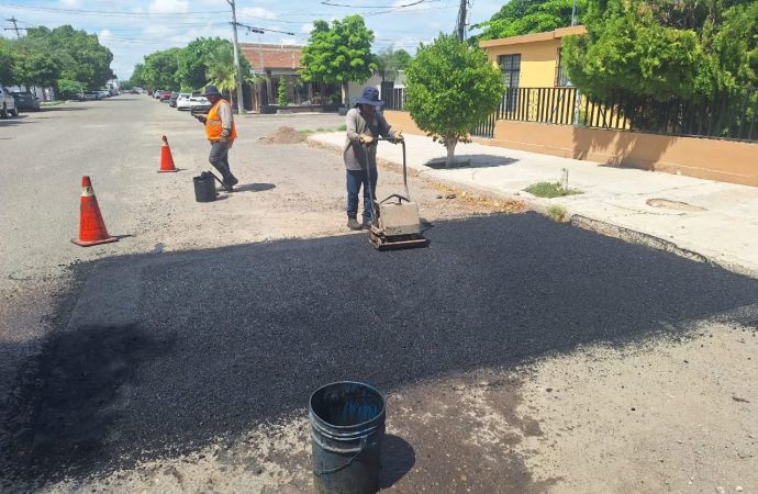 Trabaja cuadrilla antibaches en colonias de Hermosillo tras recientes lluvias