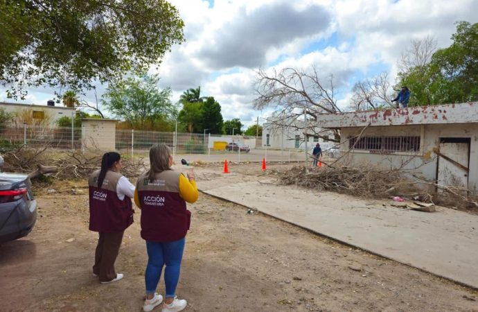 Advierten sobre un repunte de casos de dengue en Sonora después del paso de Lorena