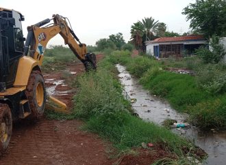 Atiende COE afectaciones por depresión tropical “Lorena” en Cajeme